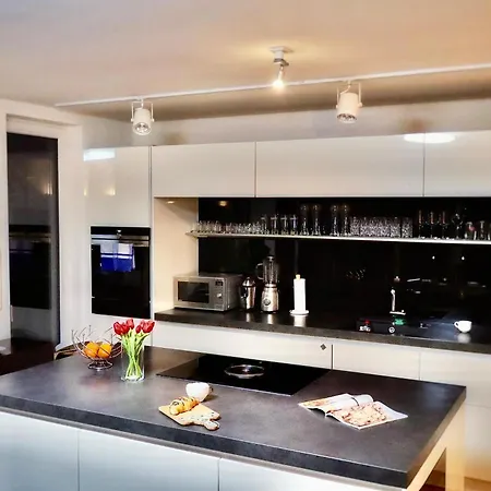 Luxus Mit Skyline Blick Am Mainufer