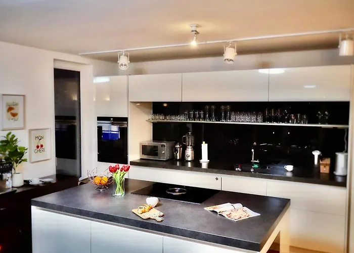 Luxus Mit Skyline Blick Am Mainufer