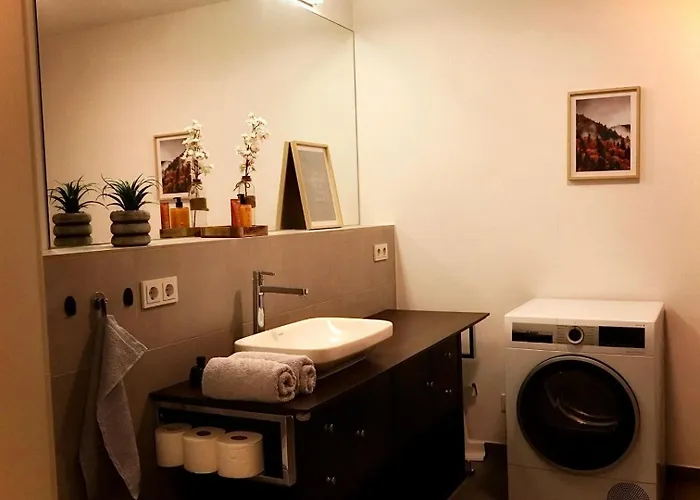 Luxus Mit Skyline Blick Am Mainufer *